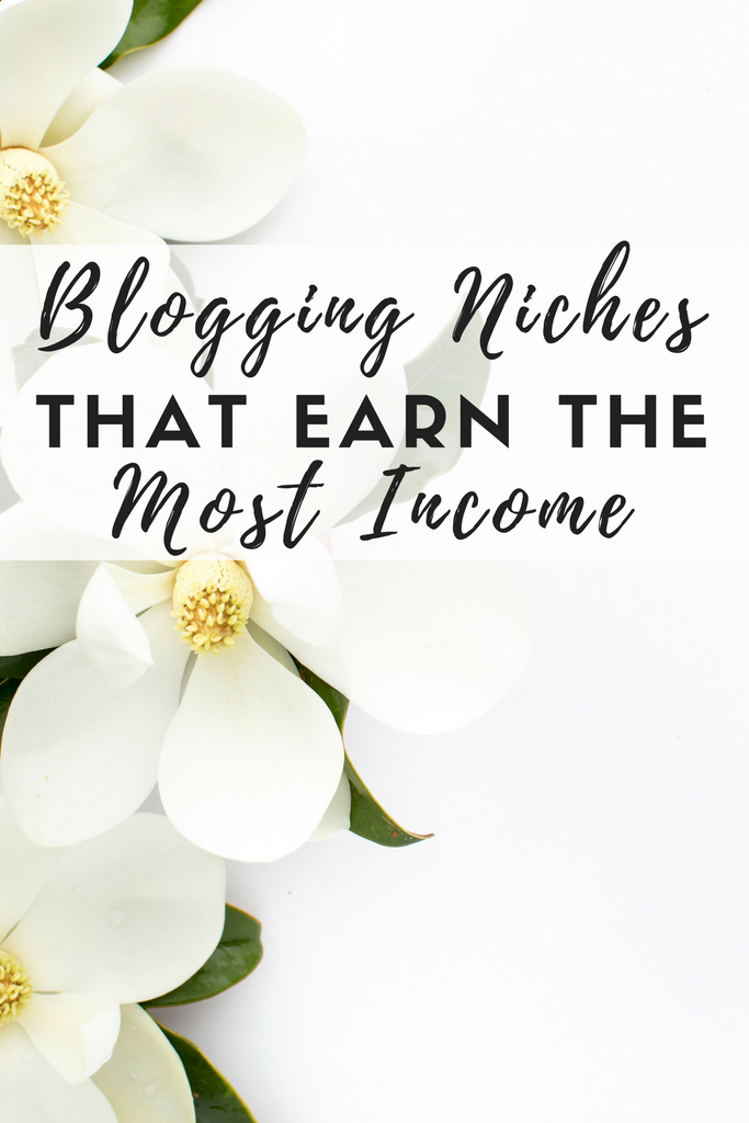 Which Blogging Niches Earn the Most Income